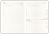 bdm10-27-vn_1778426705.png