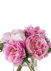 bnb9-27_02_1778498701.jpg