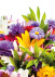 bnb9-27_05_1778498701.jpg