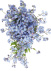bnb9-27_10_1778498701.jpg