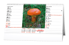 bsh2-27_vn_1778487947.png