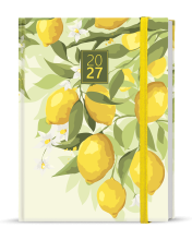 Adam lamino  Citron