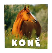 Poznámkový  Koně