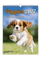 Puppies