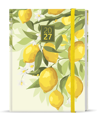 Adam lamino Citron