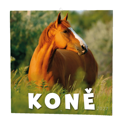 Nástěnný kalendář poznámkový Koně