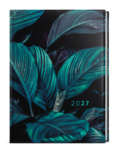 Tomáš lamino Tropic