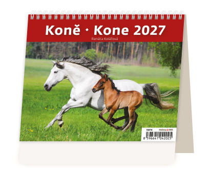 MiniMax Koně/ Kone